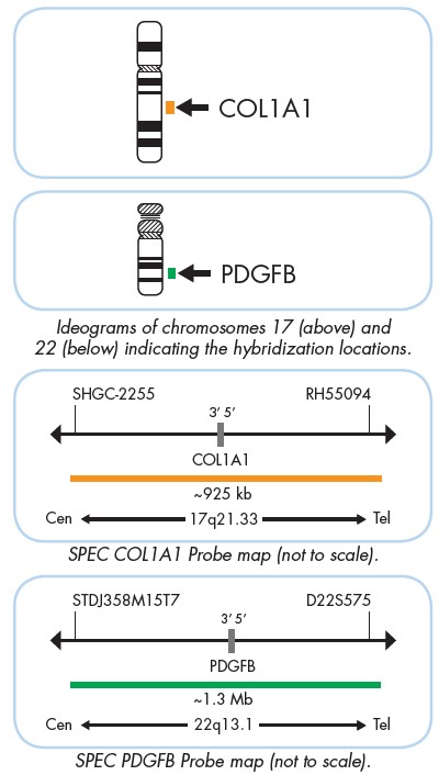 COL1A1-PDGFB fusion probe